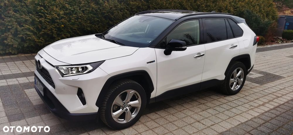 Toyota RAV4 2.5 Hybrid Executive 4x4 - 6