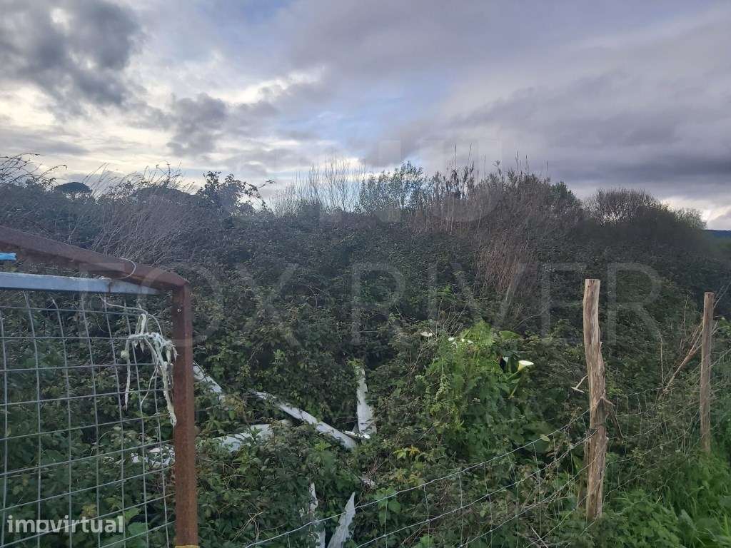 Terreno Urbanizado - Darque - Grande imagem: 3/5