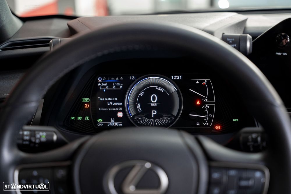 Lexus UX 250h F Sport - 10