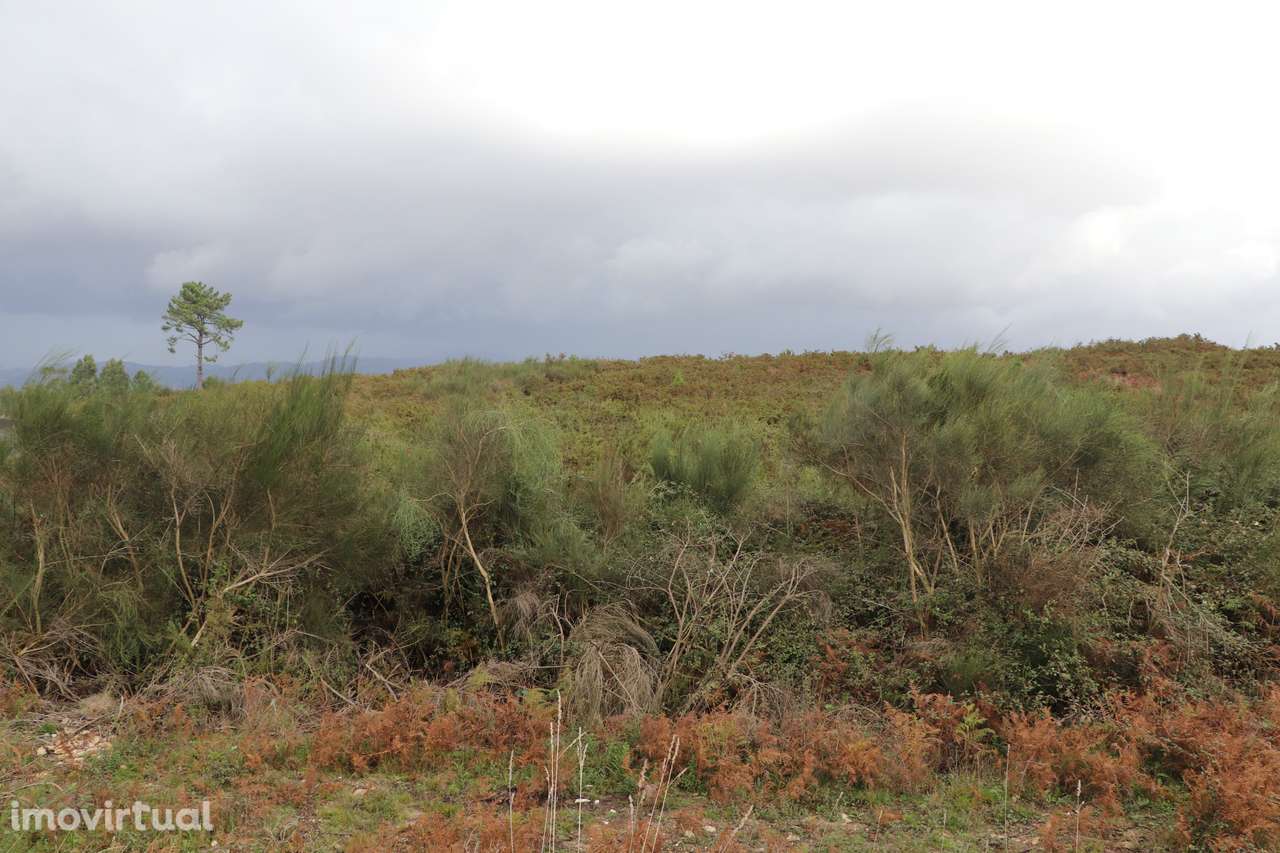 Lote de Terreno  Venda em Lustosa e Barrosas (Santo Estêvão),Lousada - Grande imagem: 5/9