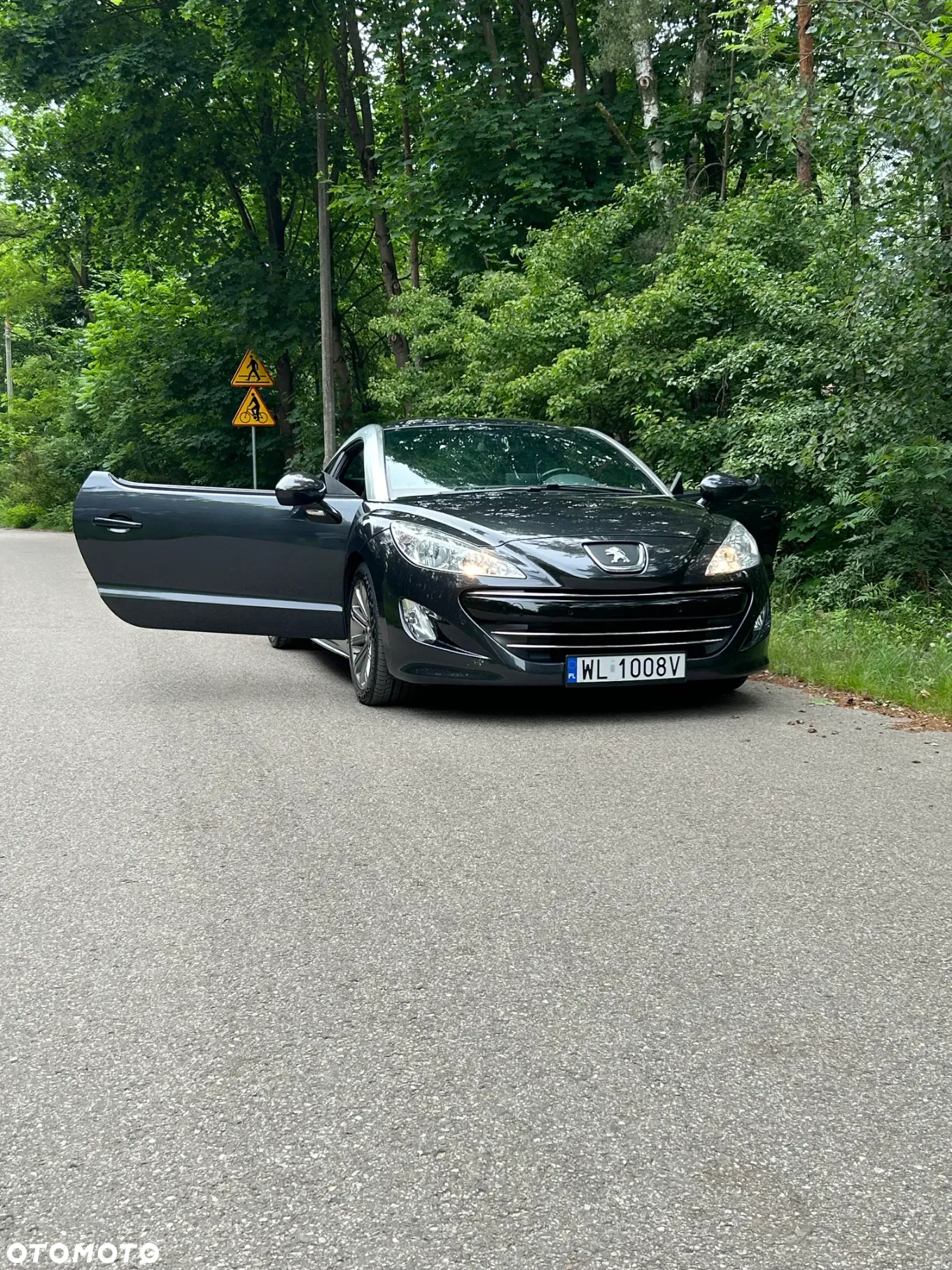 Peugeot RCZ 2.0 HDi FAP 165 - 15