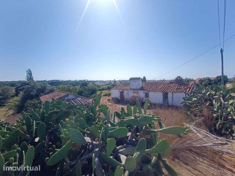 Terreno com 2 casas em Ruína