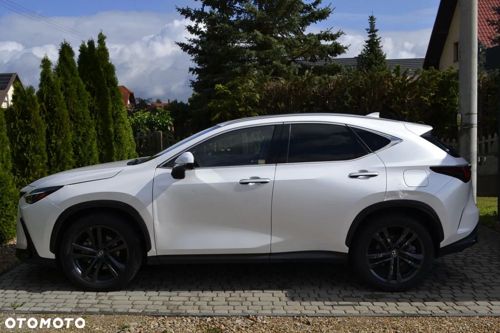 Lexus NX 350h Business AWD - 14