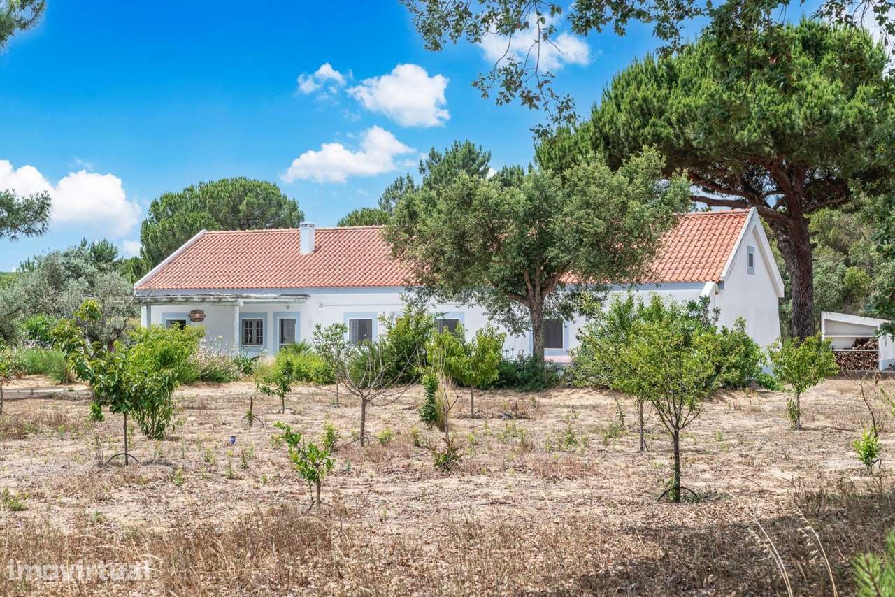 Quinta 4.6 ha, Melides, Grândola - Grande imagem: 5/55