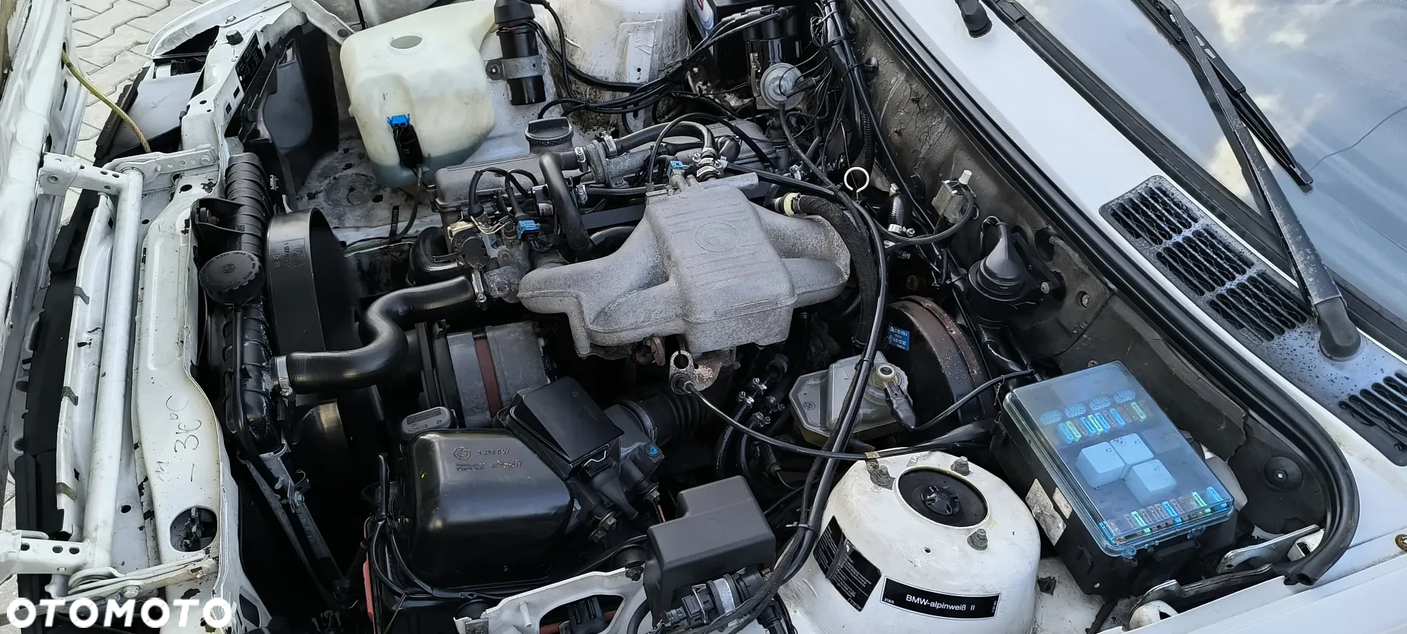 BMW Seria 3 - 31