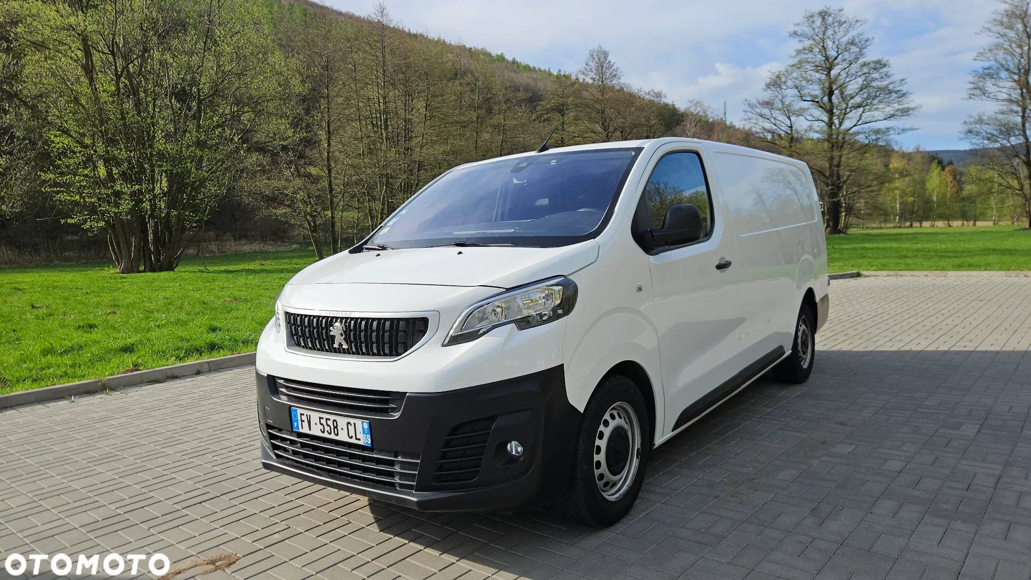 Peugeot Expert L3 MAX Long - 3
