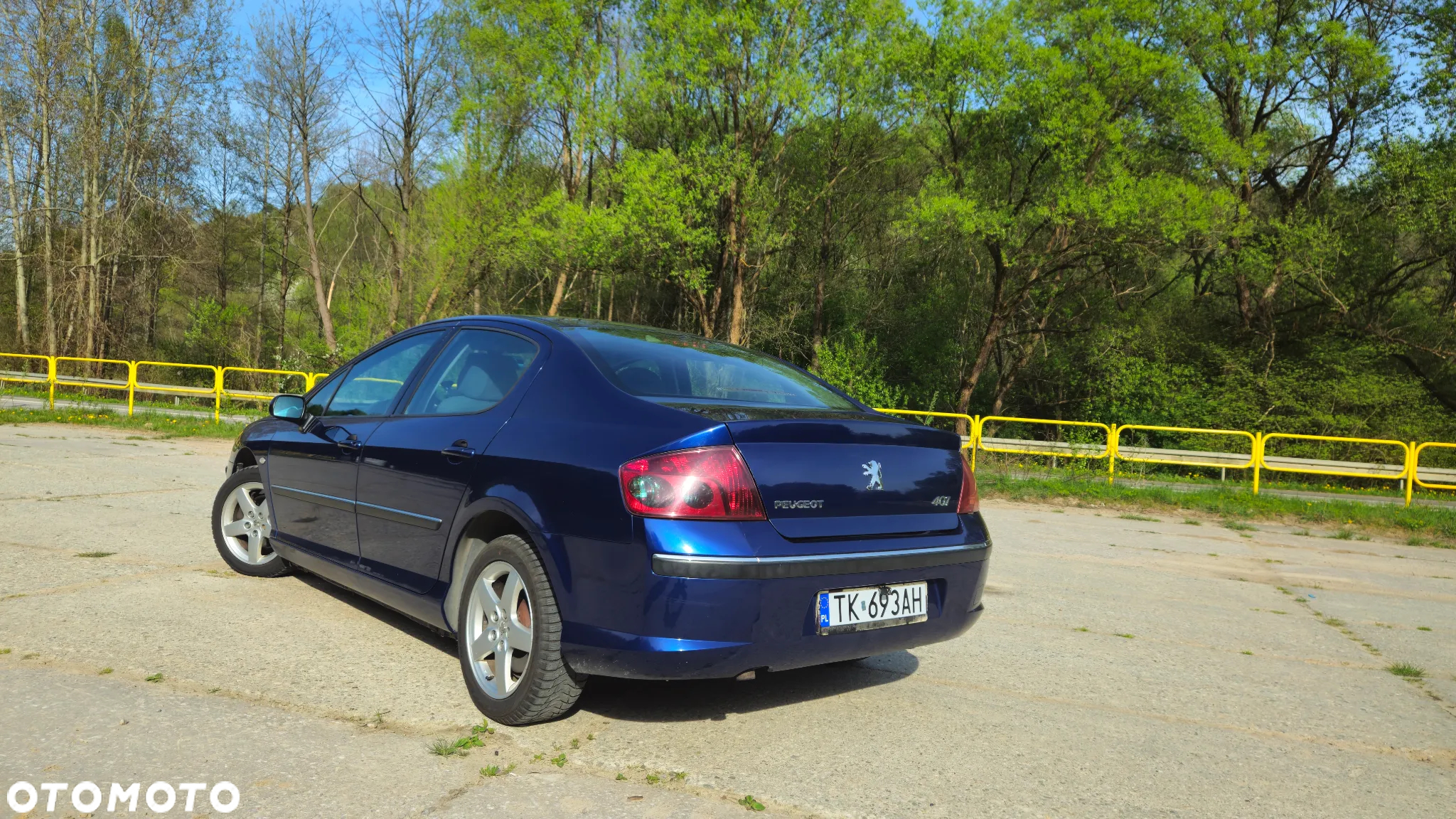 Peugeot 407 2.0 HDI Intense - 30