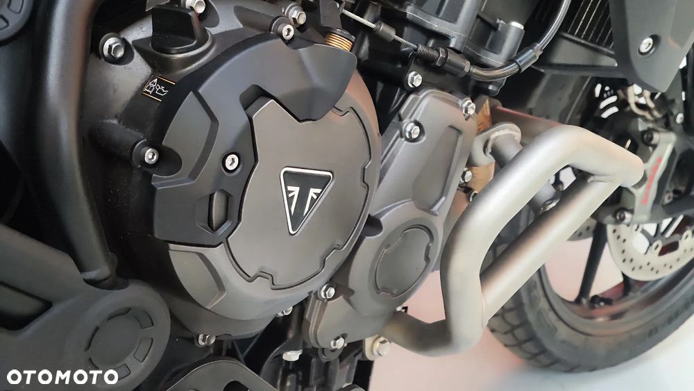 Triumph Tiger - 19