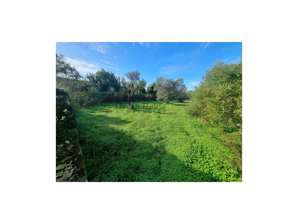 Terreno com projecto aprovado para moradia em Tôr - Loulé - Grande imagem: 5/11