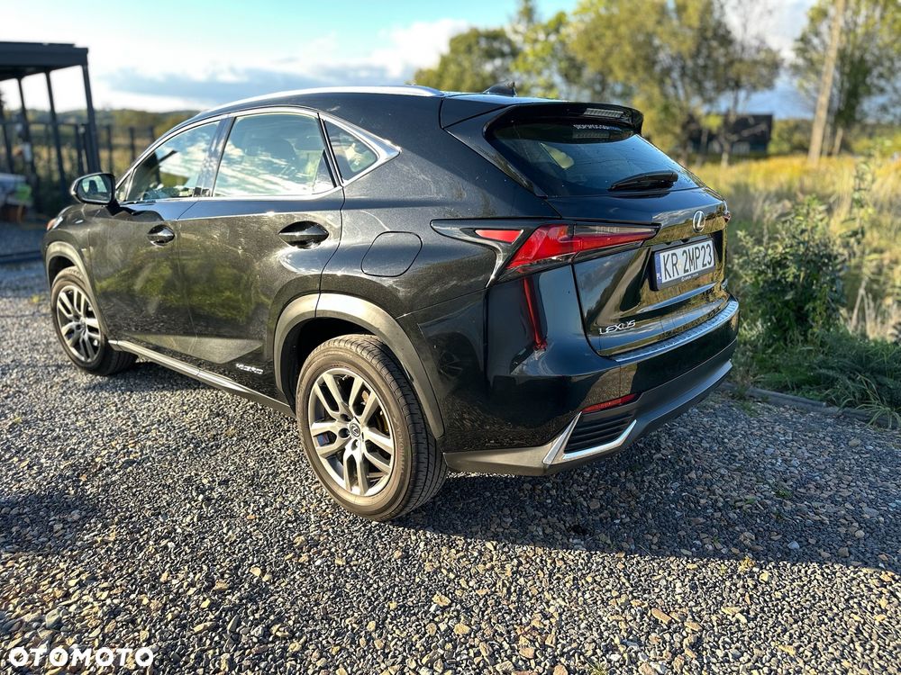 Lexus NX 300h Elegance Optimum AWD - 18
