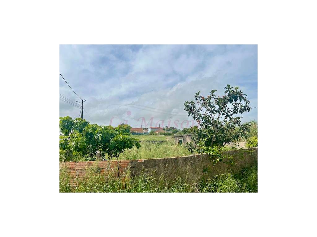 Lote de Terreno na Murteira - Grande imagem: 3/4