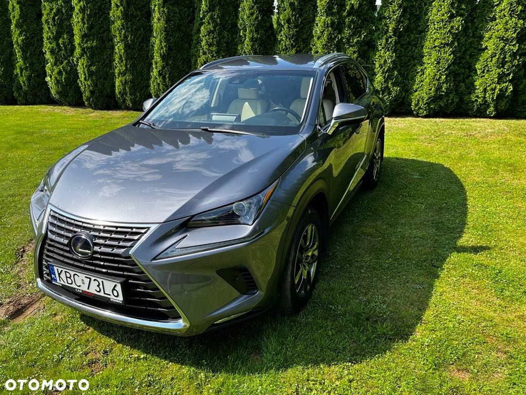 Lexus NX 300 Elegance AWD - 1
