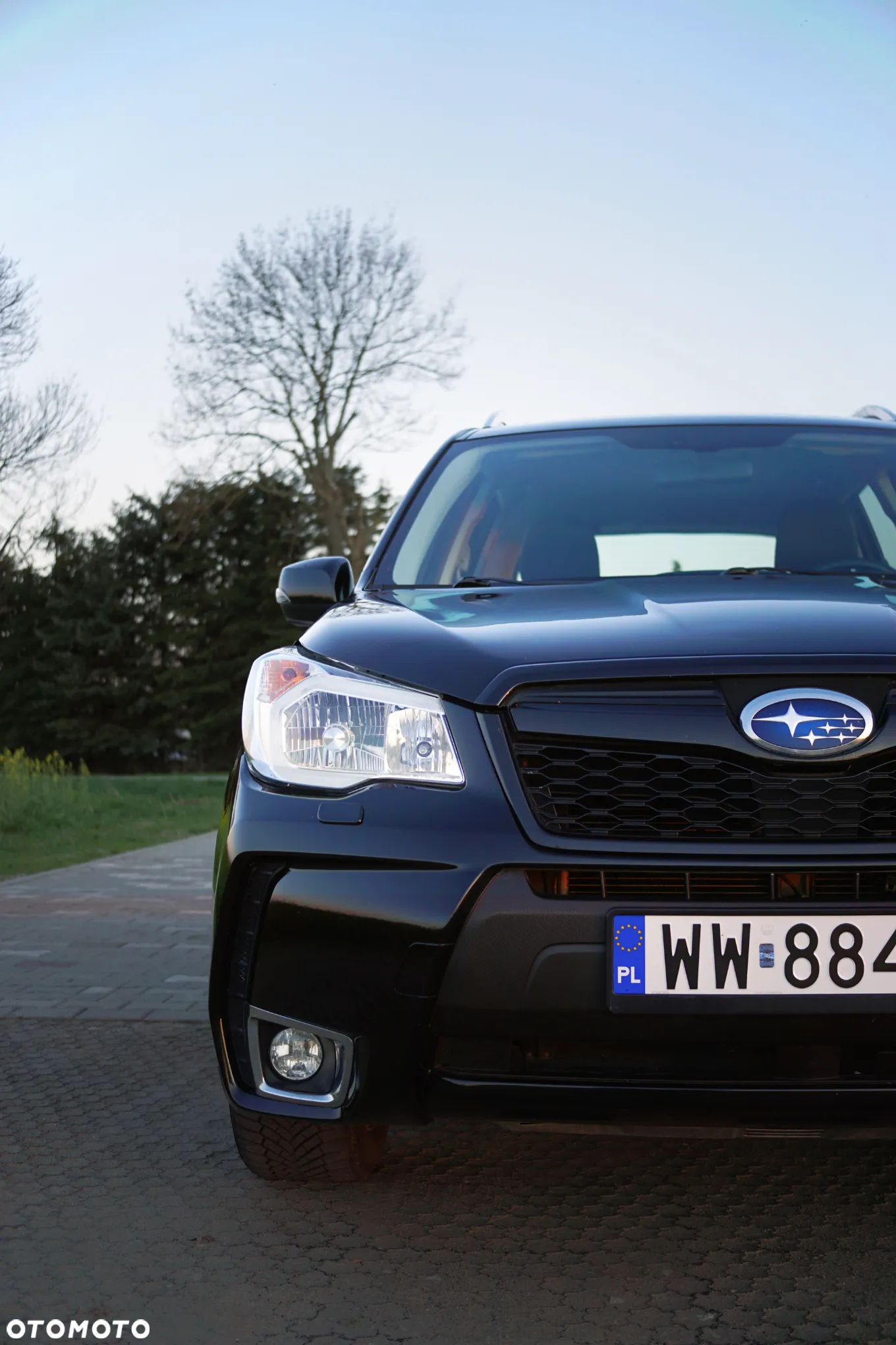 Subaru Forester 2.0XT Platinum Lineartronic - 6