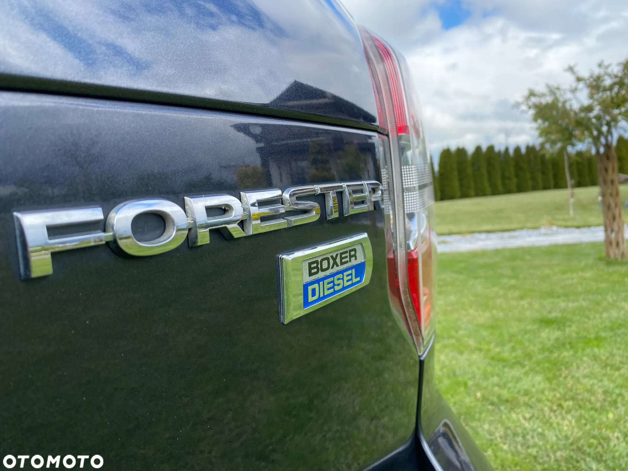 Subaru Forester 2.0D Platinum - 17
