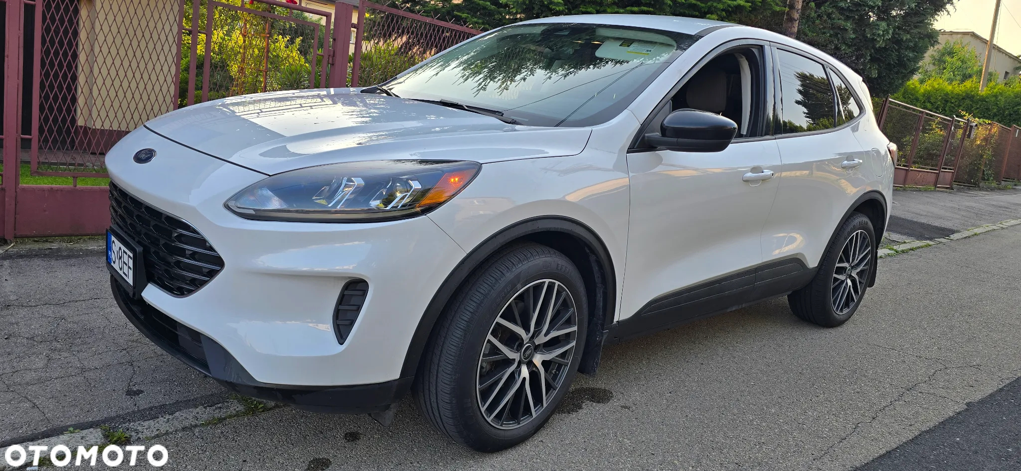 Ford Kuga 2.5 FHEV AWD Titanium - 2