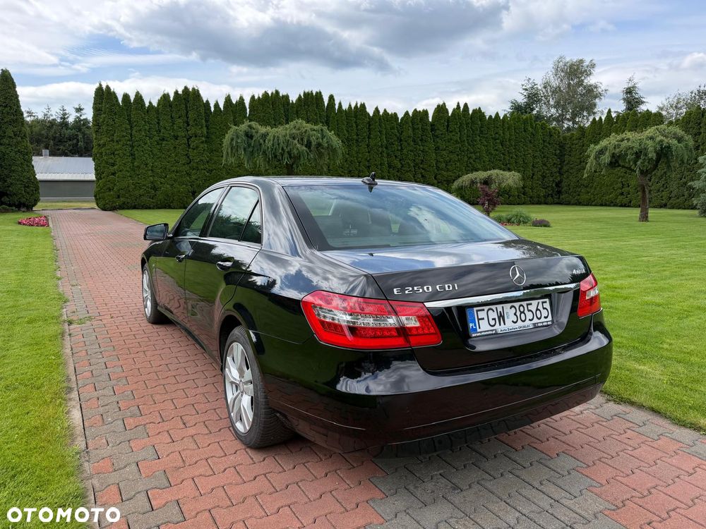 Mercedes-Benz Klasa E 250 CDI 4Matic 7G-TRONIC - 12