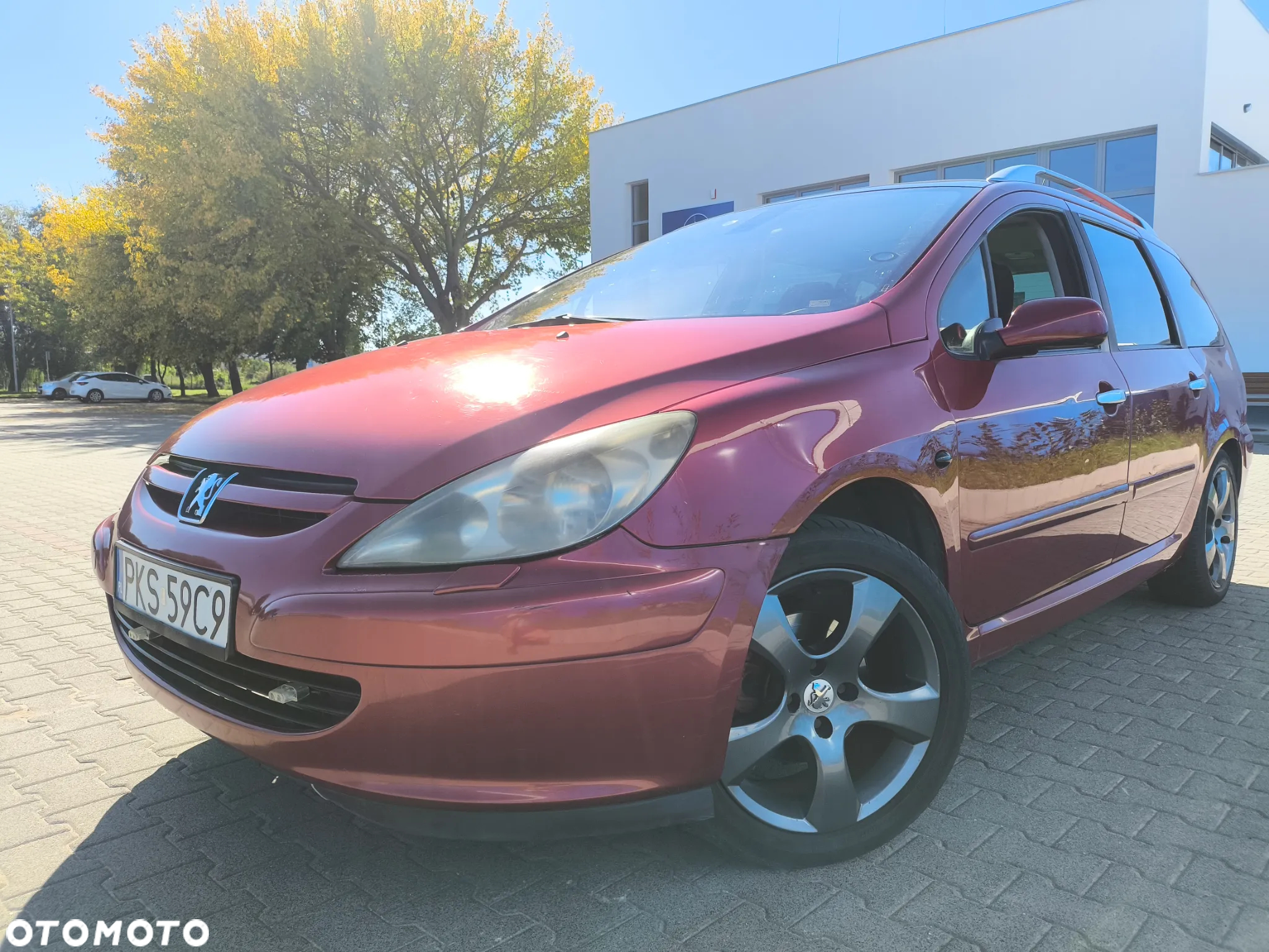 Peugeot 307 1.6 - 15