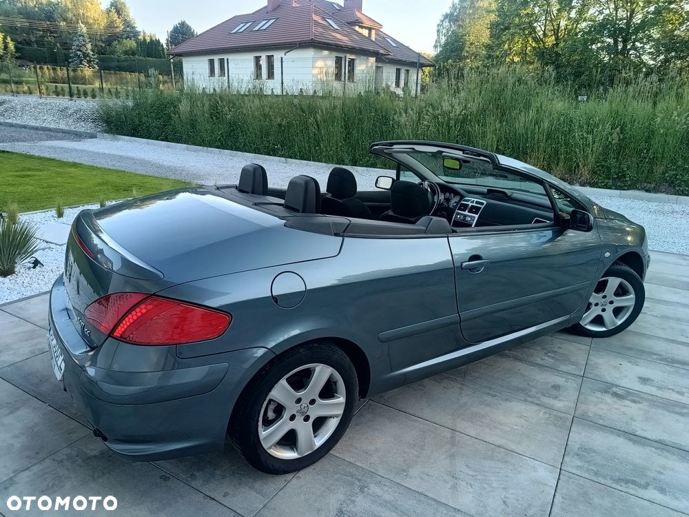 Peugeot 307 - 21