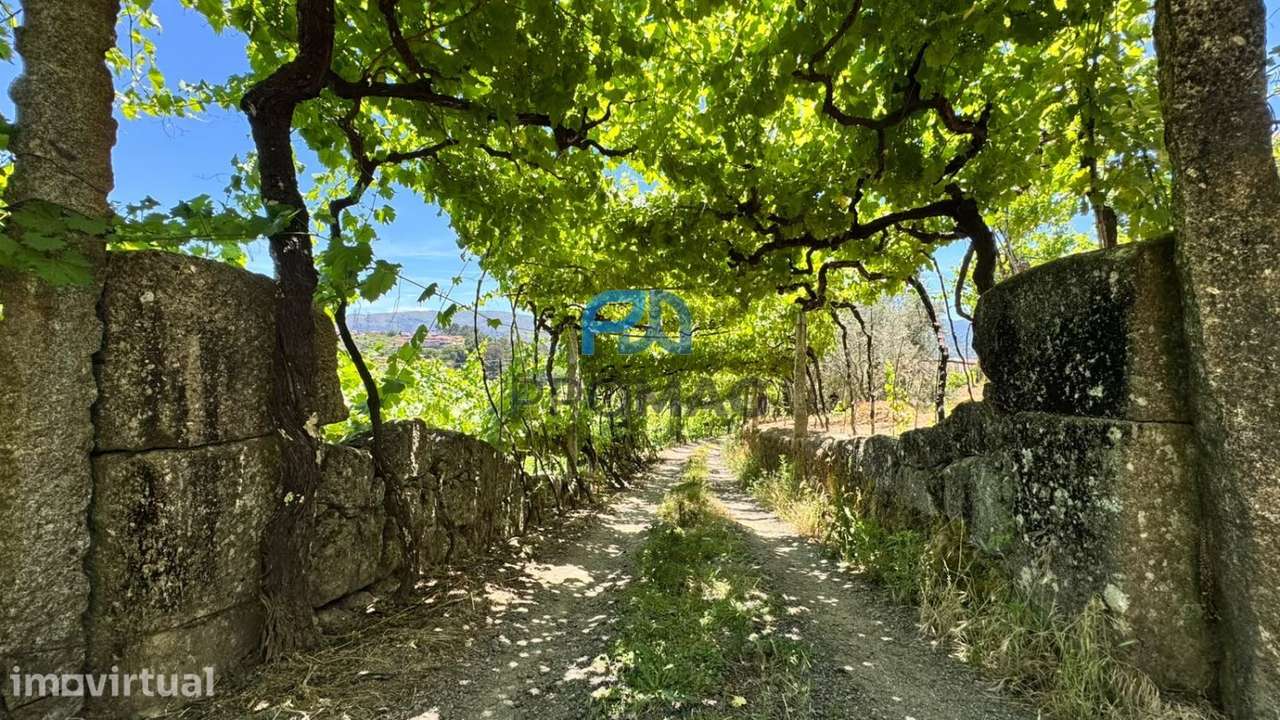 QUINTINHA T3 em Santa Marinha do Zêzere - Baião - Grande imagem: 3/53