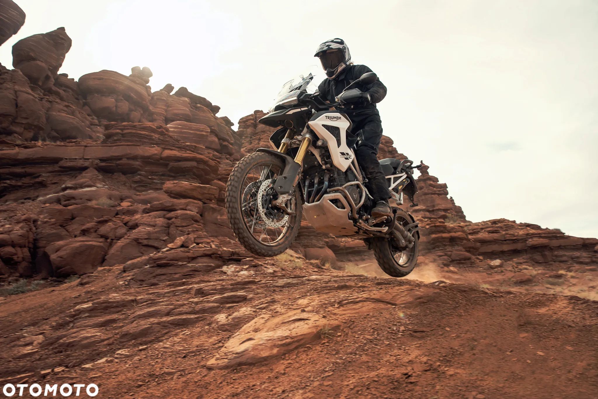 Triumph Tiger
