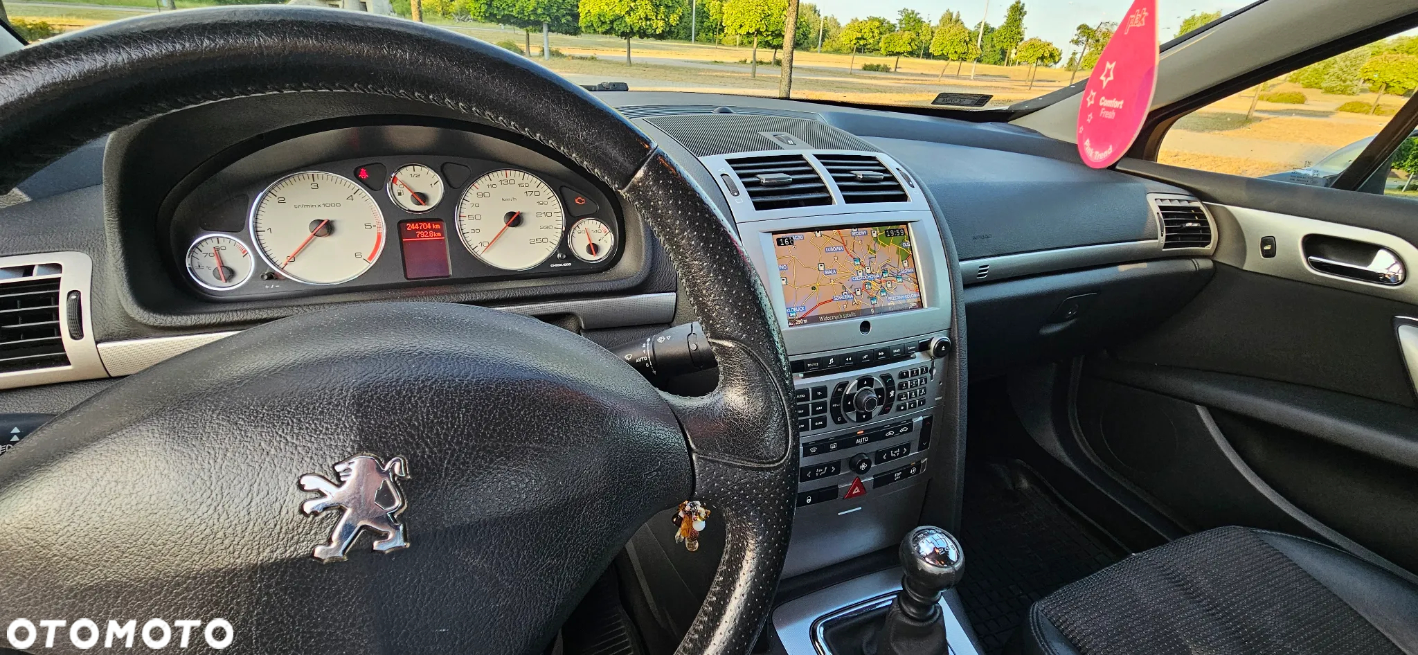 Peugeot 407 2.0 HDi Premium - 18