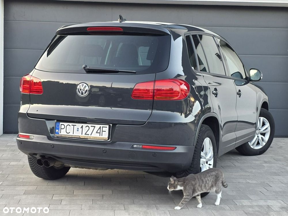 Volkswagen Tiguan - 35