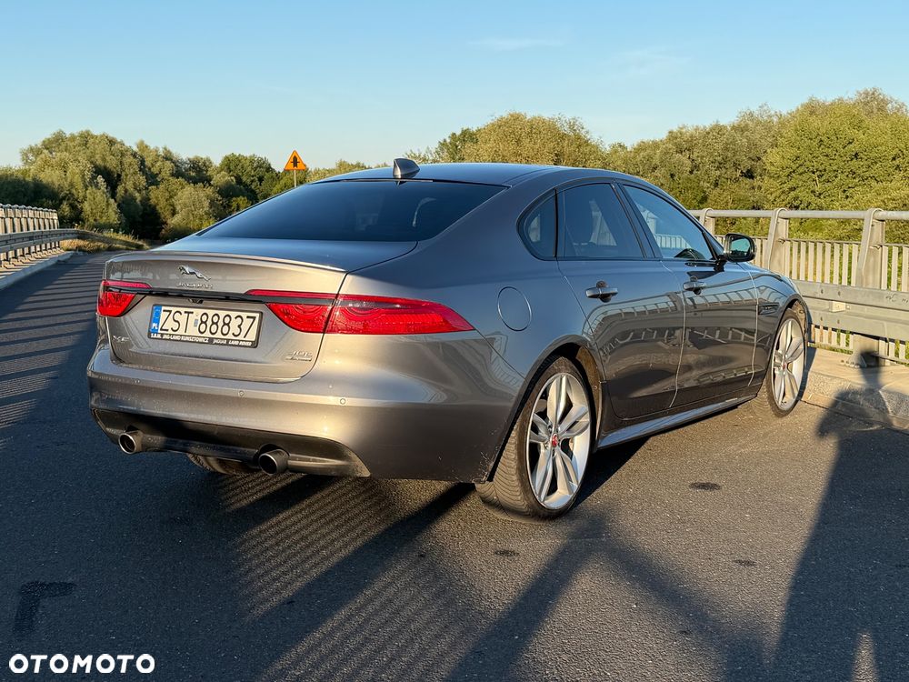 Jaguar XF 30t AWD Chequered Flag - 5