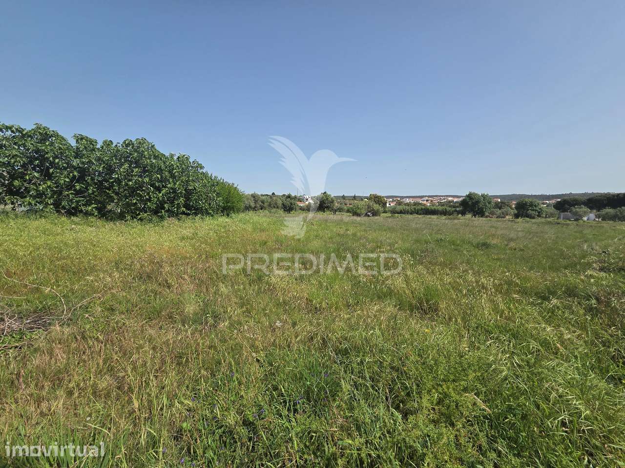 Lote de Terreno Urbano - Grande imagem: 5/15