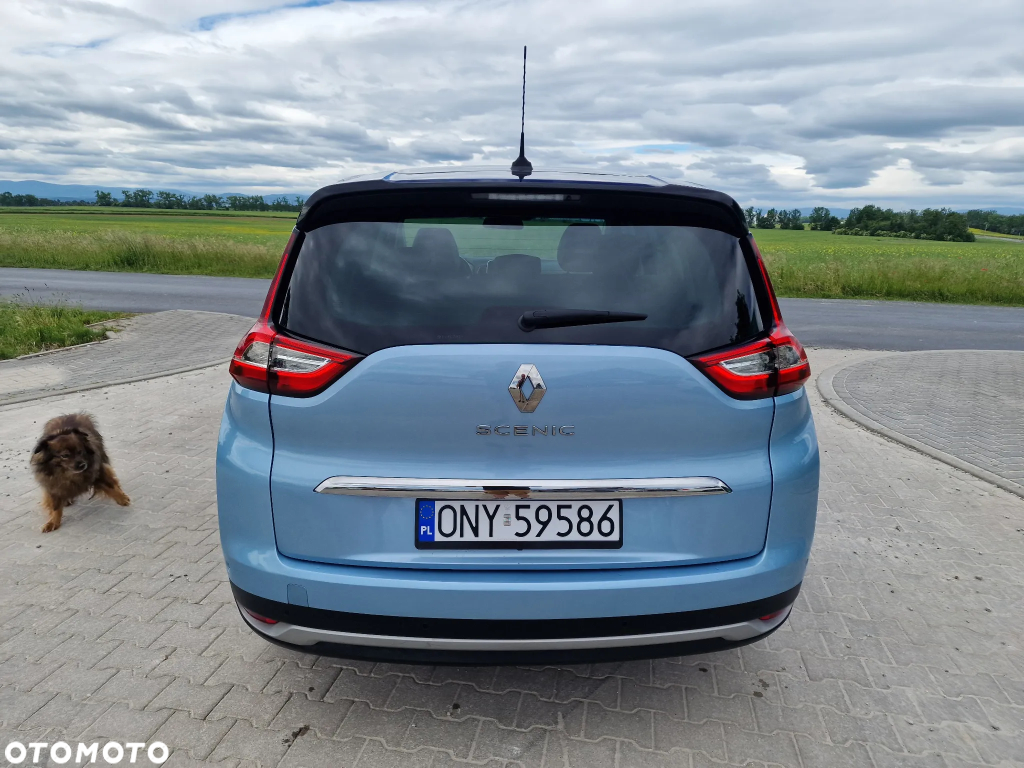 Renault Scenic BLUE dCi 120 EDC LIMITED - 10