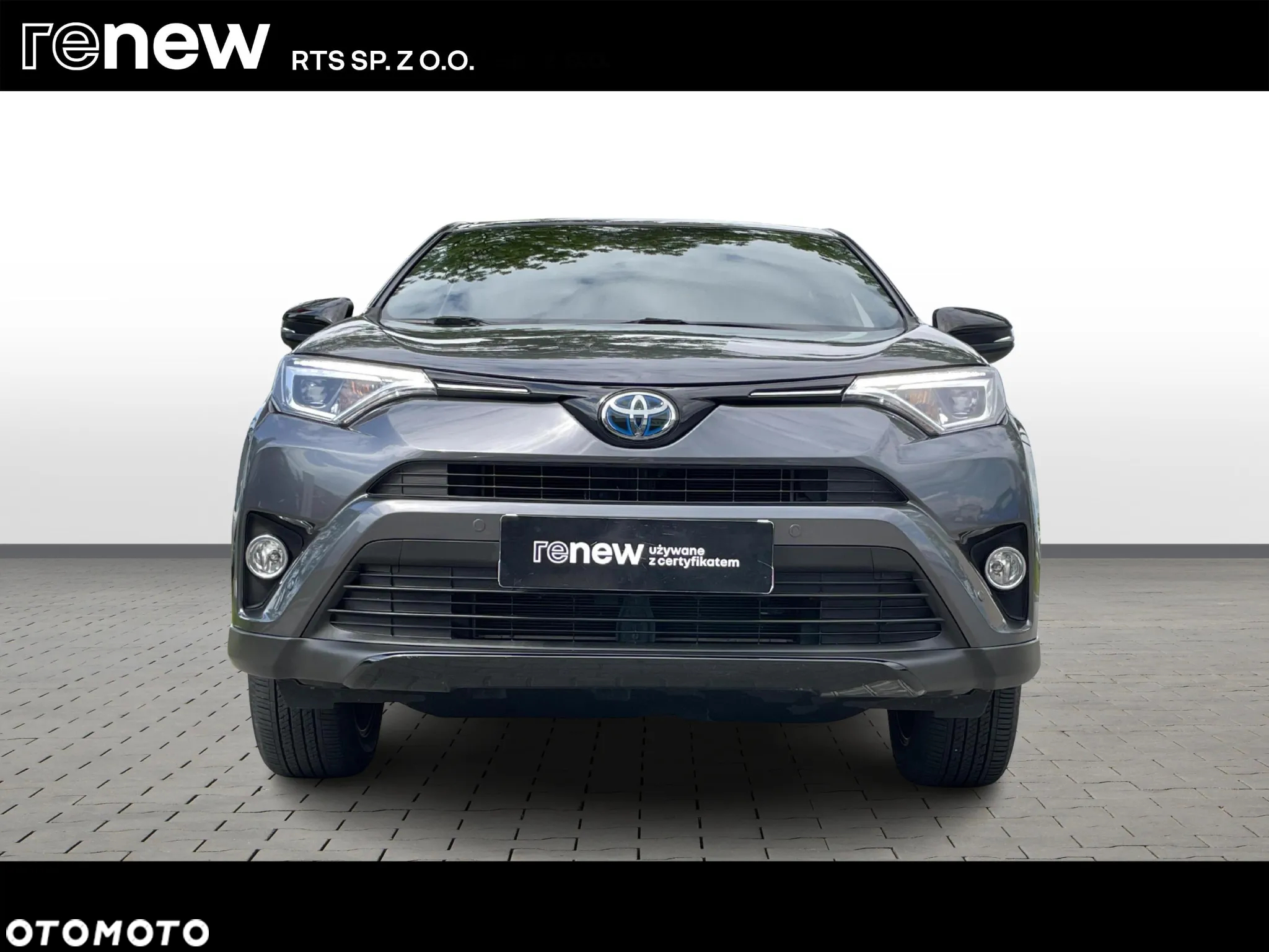 Toyota RAV4 Hybrid Style 4x2 - 8