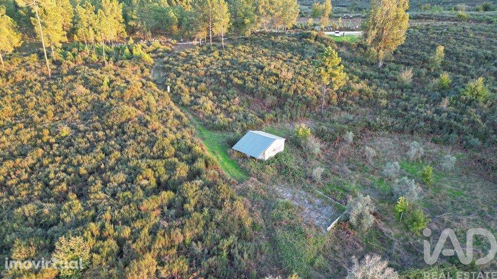 Terreno Agrícola em Paranhos - Grande imagem: 2/24
