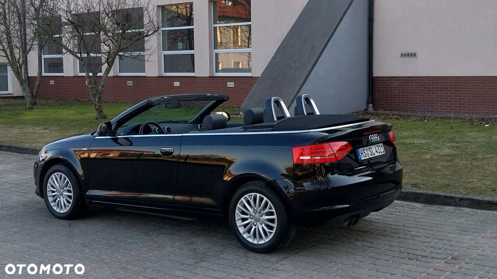 Audi A3 Cabrio 1.9 TDI DPF Attraction - 13