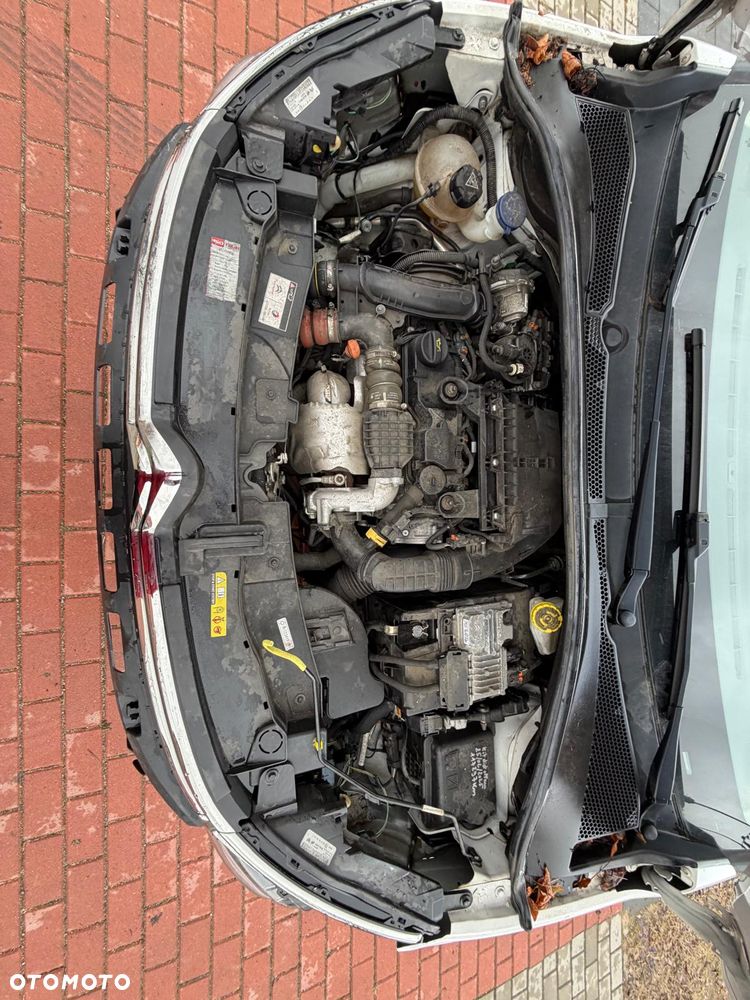 Citroën C3 BlueHDi 75 S&S 83g FEEL - 15