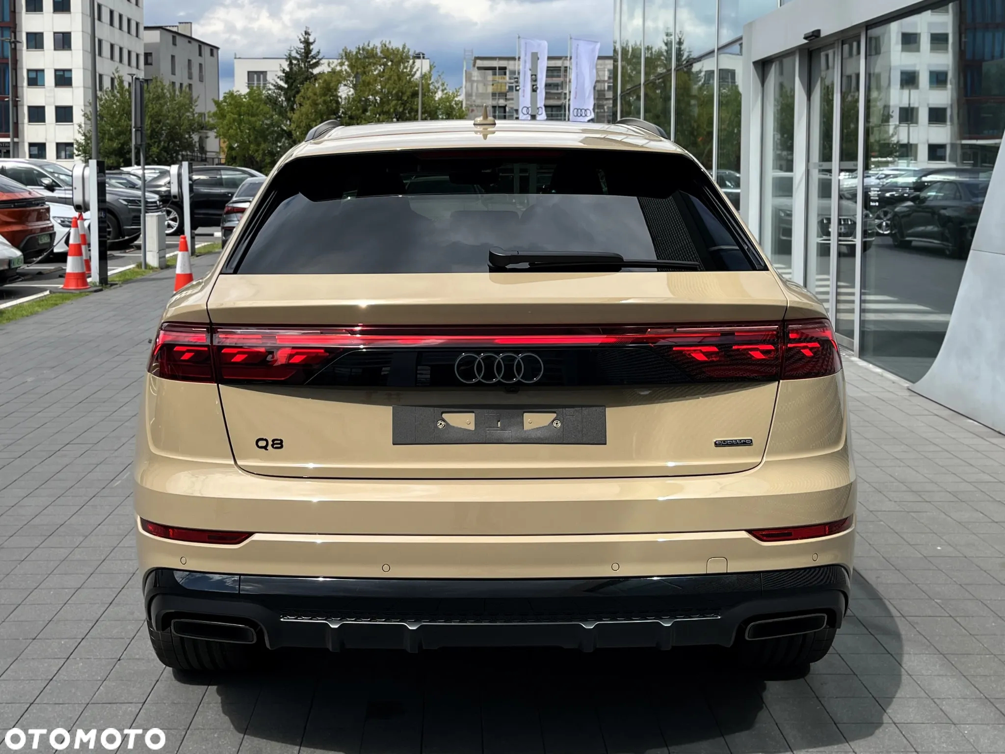Audi Q8 - 14