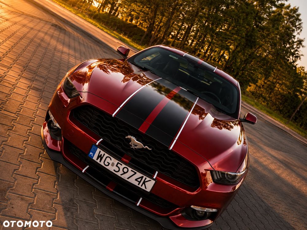 Ford Mustang - 3