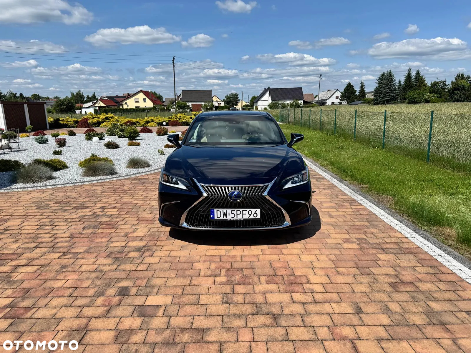 Lexus ES 300h Business Edition + - 4