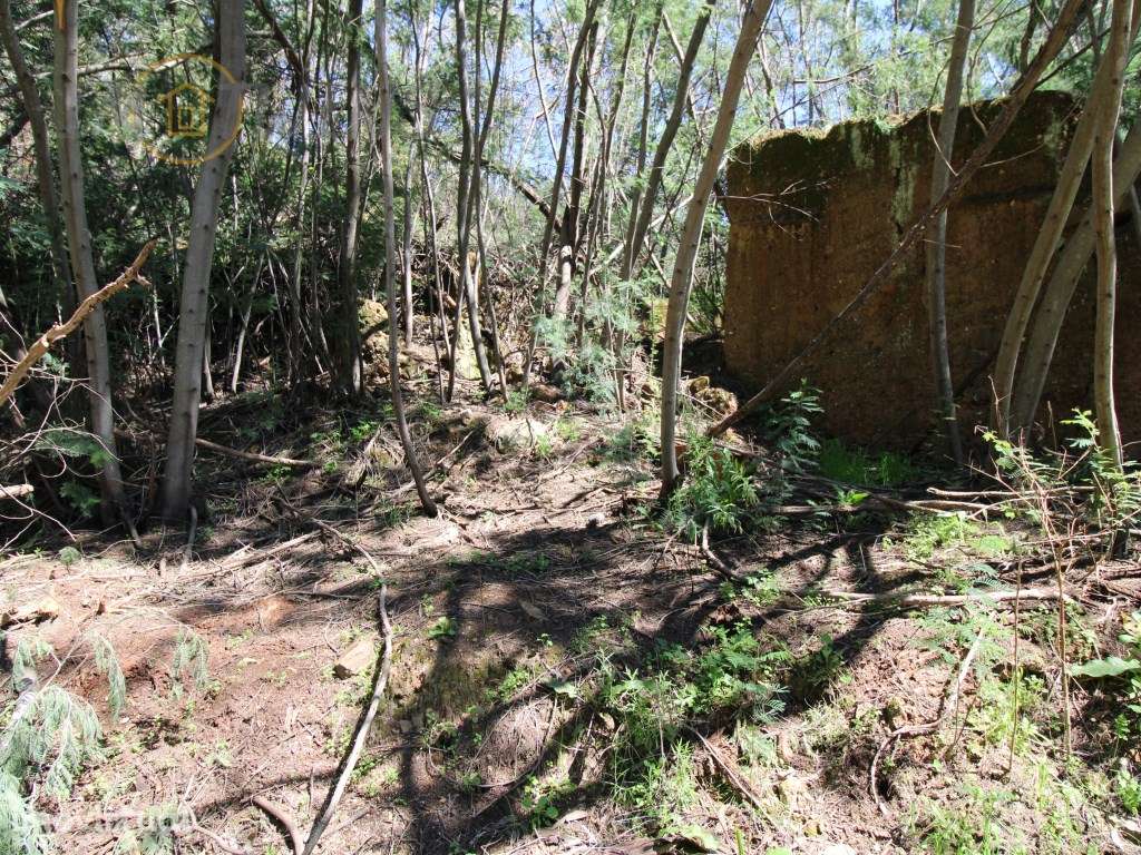 Terreno Rústico em Marmelete - Grande imagem: 4/14