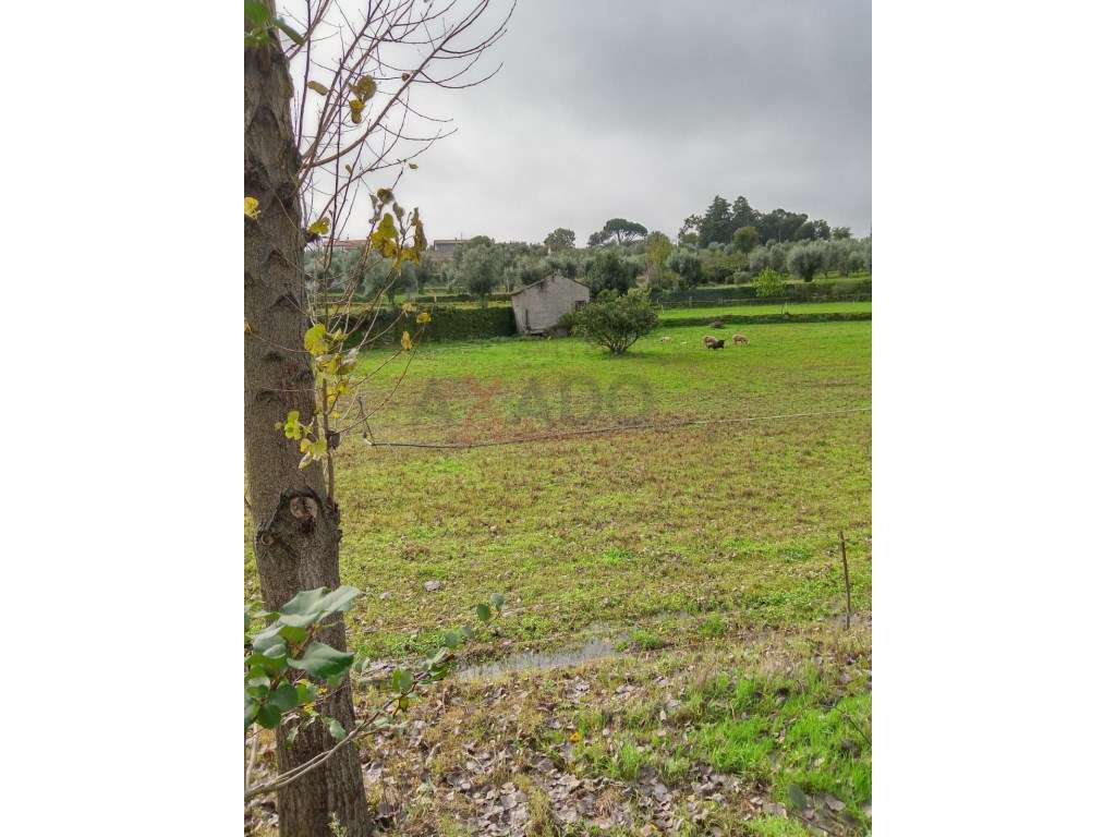 Quinta na Serra da Estrela com Duas Casas em Pedra, Nascentes e um ... - Grande imagem: 5/33