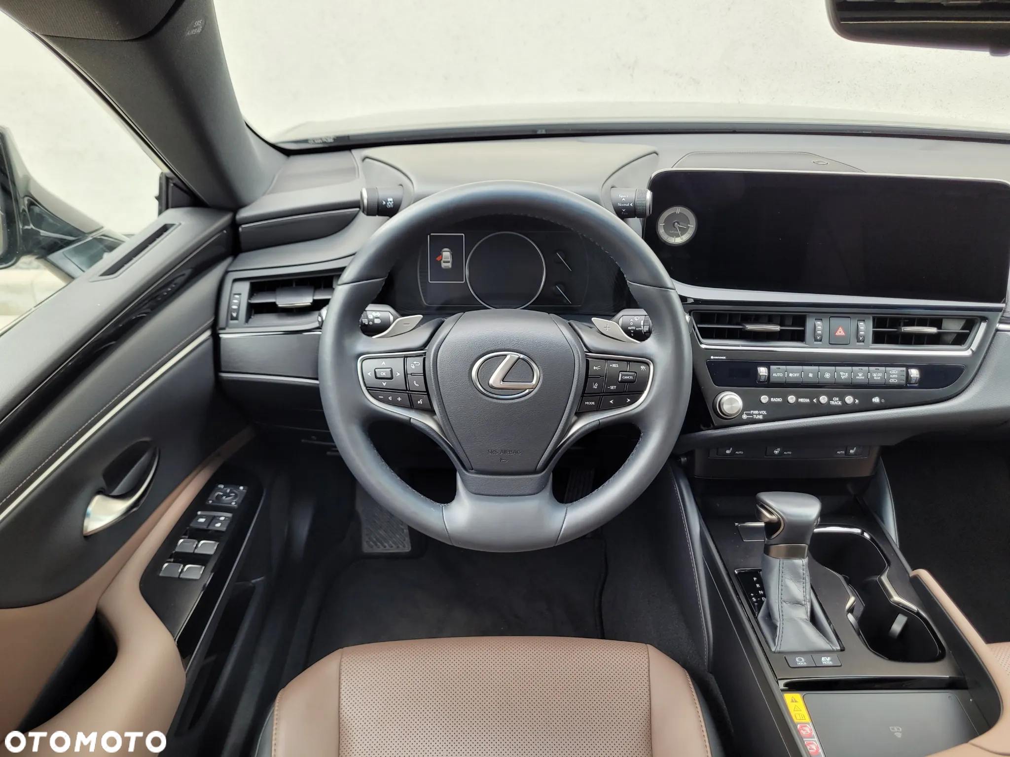 Lexus ES 300h F Sport Design - 8