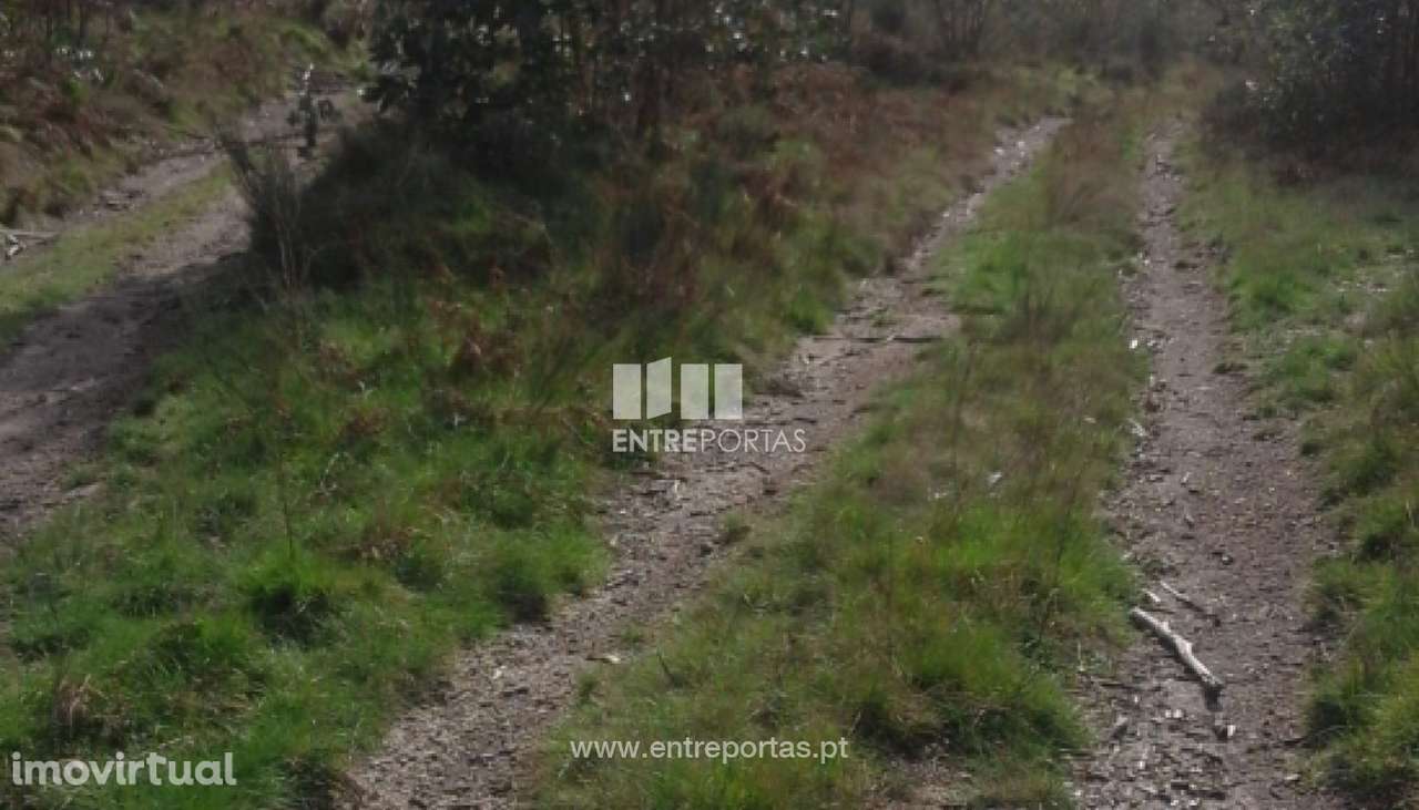Venda Terreno, Vila Cova, Penafiel - Grande imagem: 4/16