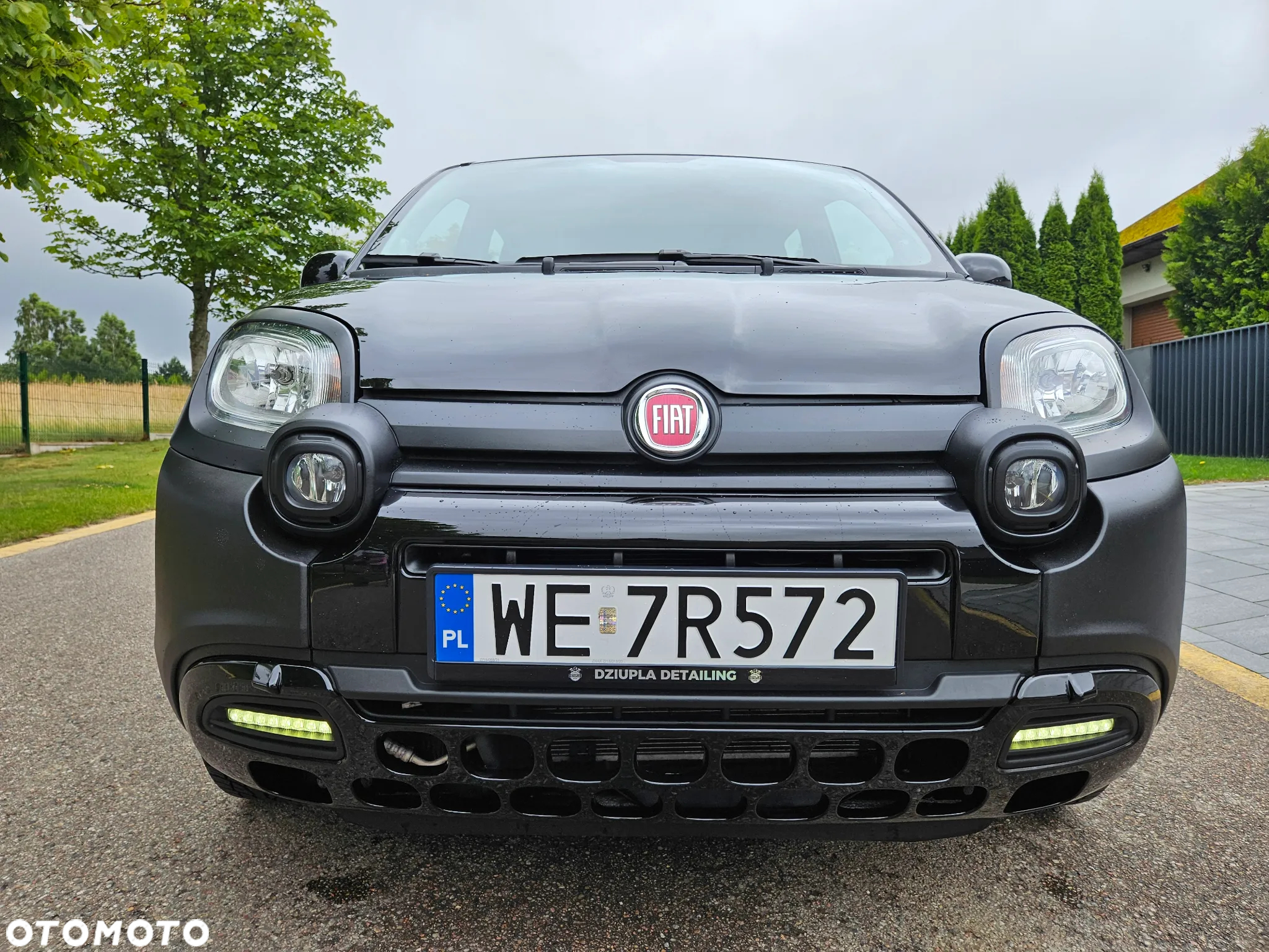 Fiat Panda 1.0 Hybrid - 2