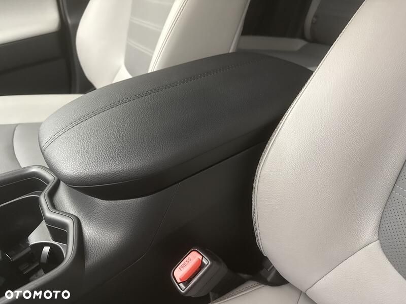 Toyota RAV4 2.5 Hybrid Executive 4x4 - 19