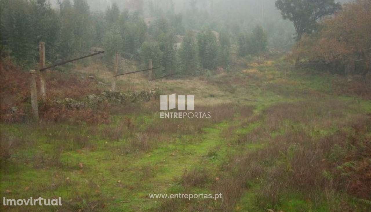 Venda Terreno, Várzea do Douro, Marco de Canaveses - Grande imagem: 2/6