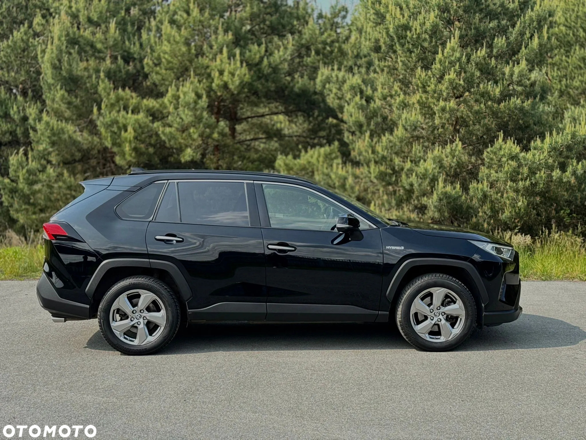 Toyota RAV4 2.5 Hybrid Executive 4x4 - 3