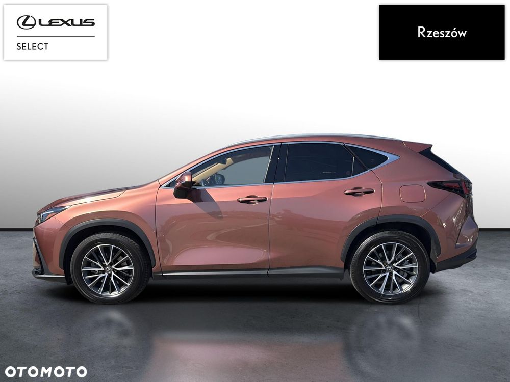 Lexus NX 350h Prestige AWD - 2