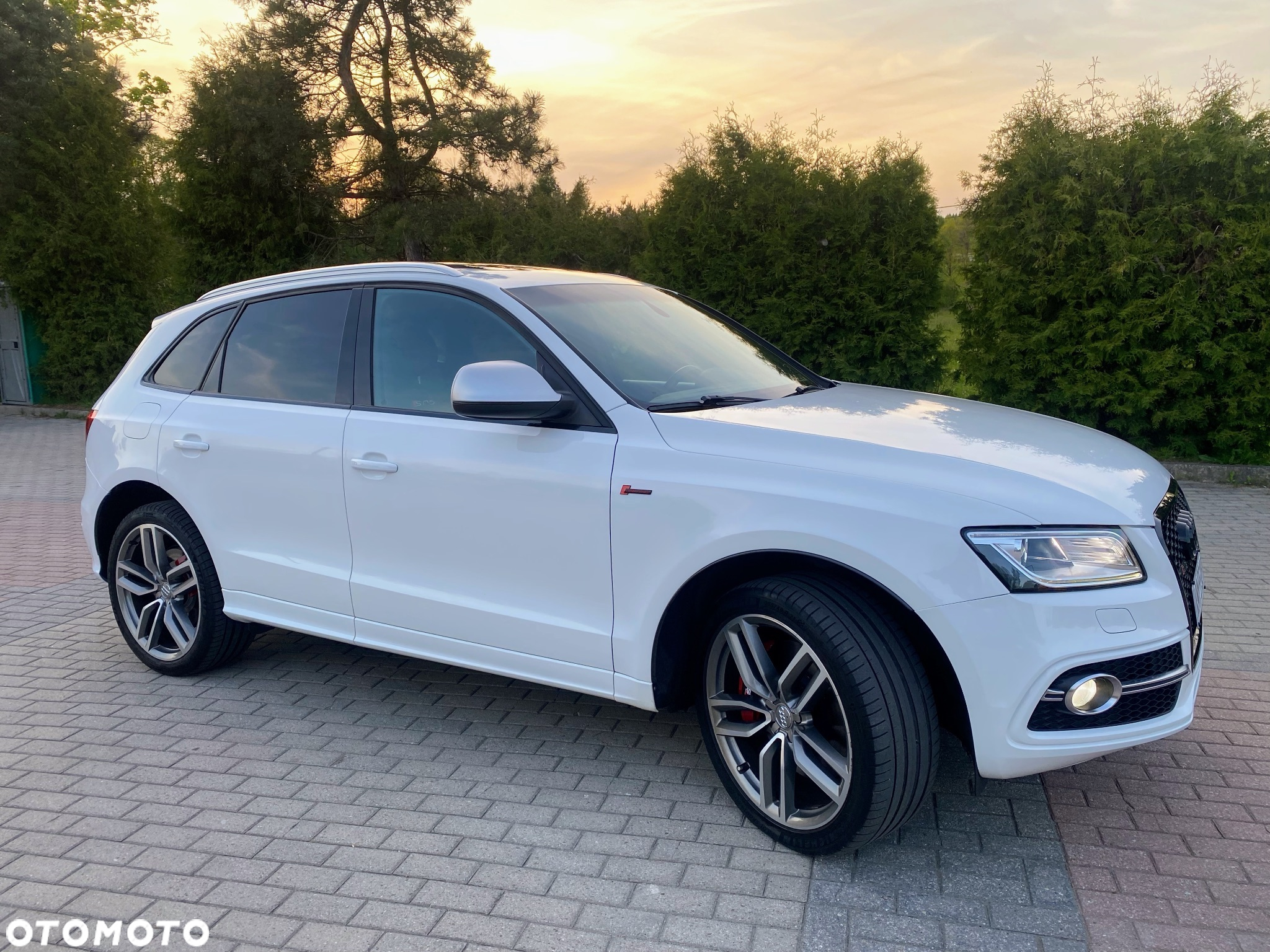 Audi SQ5 3.0 TFSI Quattro Tiptronic - 11