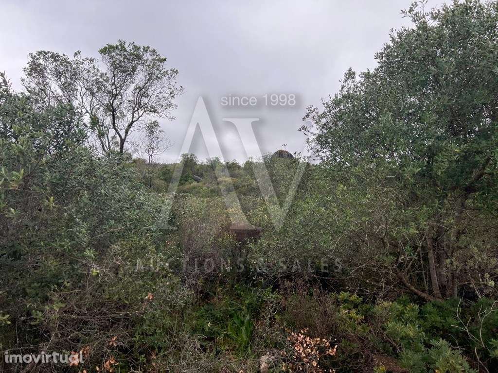 Terreno Rústico - Loulé |LEILÃO ELETRÓNICO| FIM 25*MAI - Grande imagem: 2/5