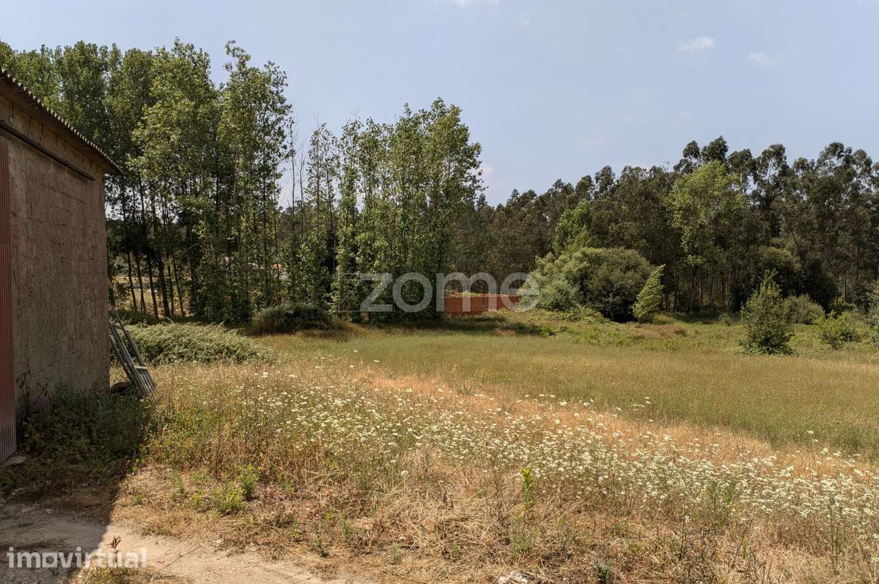 Terreno para construção na Maceira, a poucos minutos de Leiria - Grande imagem: 5/20