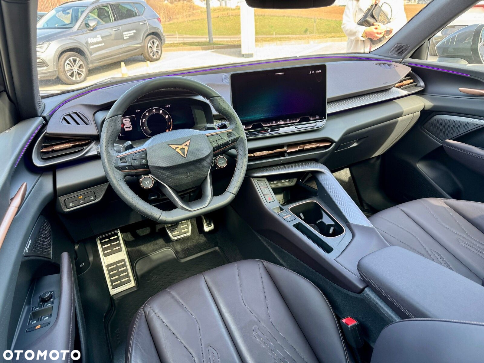 Cupra Terramar - 17