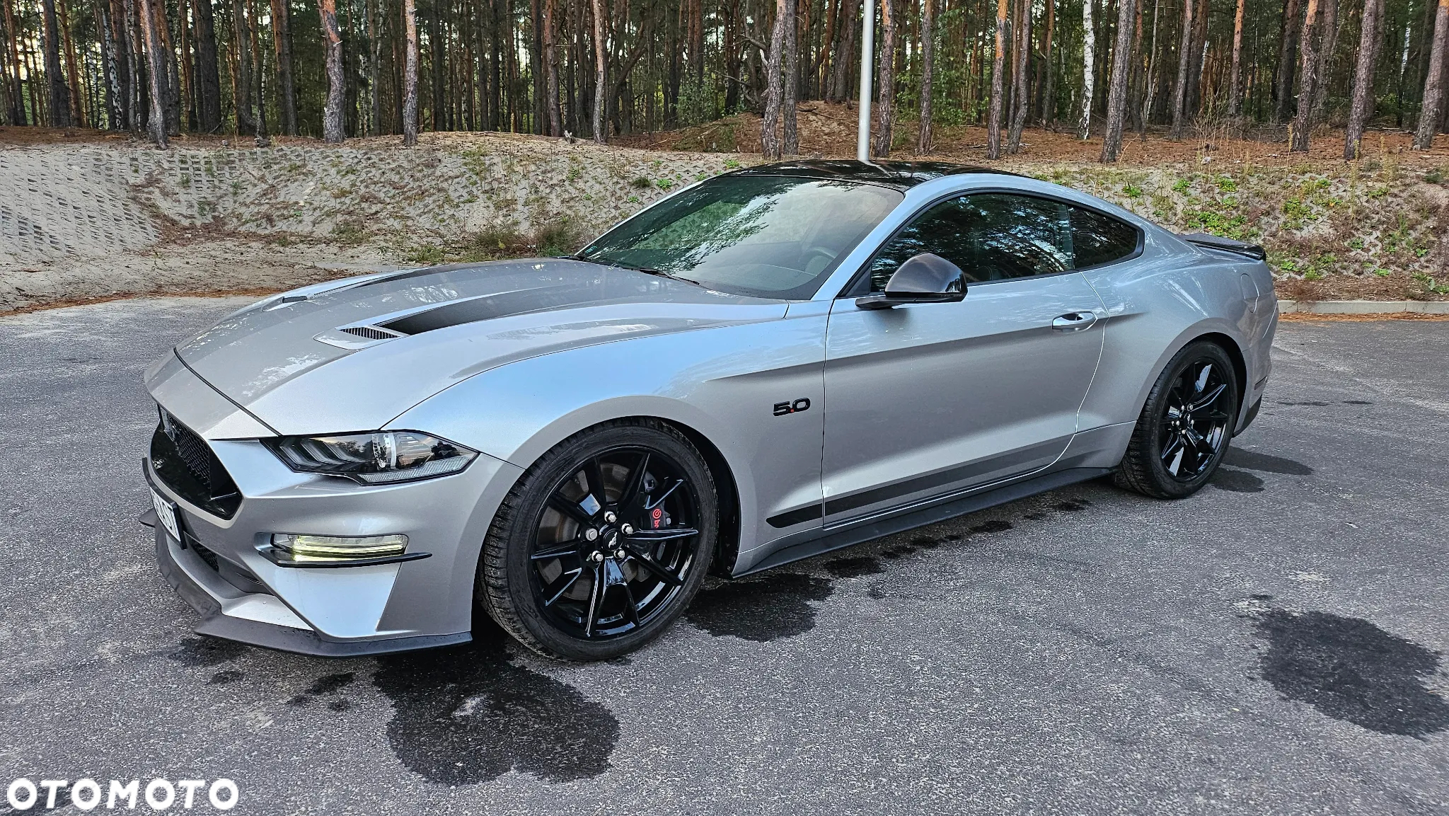 Ford Mustang 5.0 V8 GT - 12